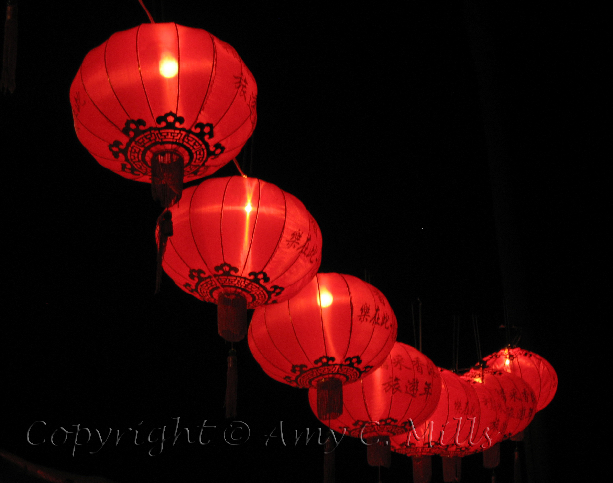 Asian New Year Celebrations 42